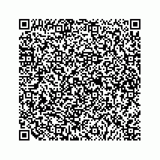 vCard 79505013207
