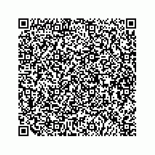 vCard 79505013208