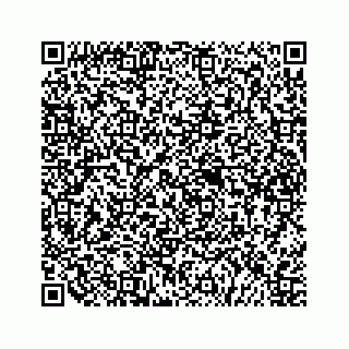 vCard 79505013217