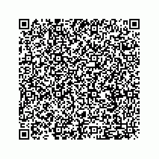 vCard 79505013273