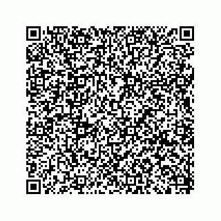 vCard 79505013293