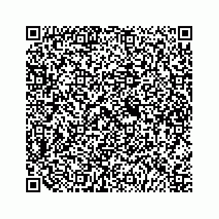 vCard 79505013313