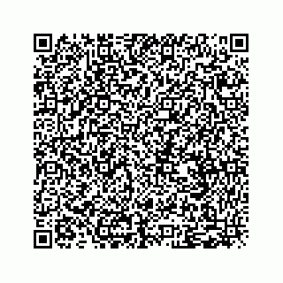 vCard 79505013319