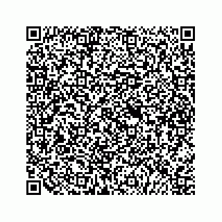 vCard 79505013331