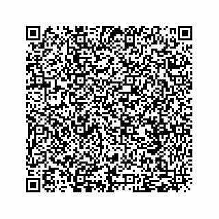 vCard 79505013379