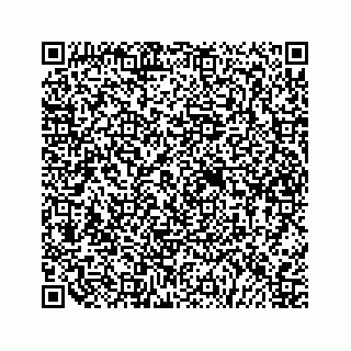vCard 79505013387