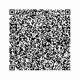 vCard 79505013393