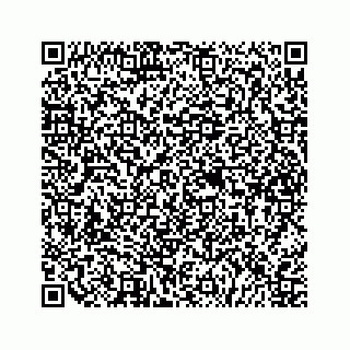 vCard 79505013413
