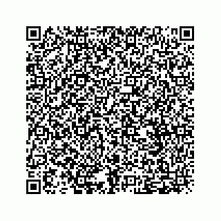 vCard 79505078209