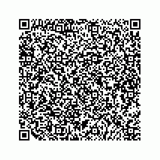 vCard 79505080378