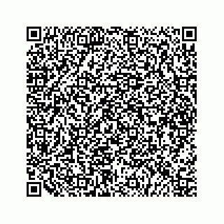 vCard 79505103300