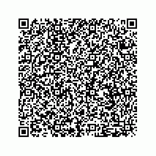 vCard 79505109079