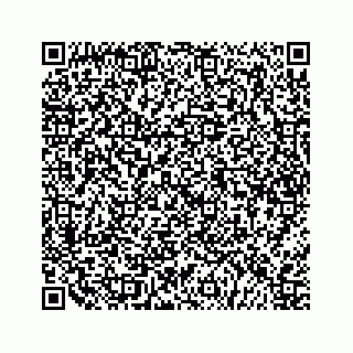 vCard 79505129207