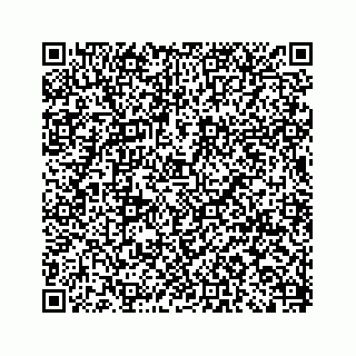 vCard 79505129293