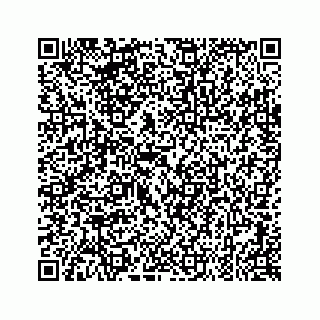 vCard 79505197319