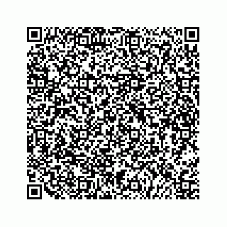 vCard 79505197331