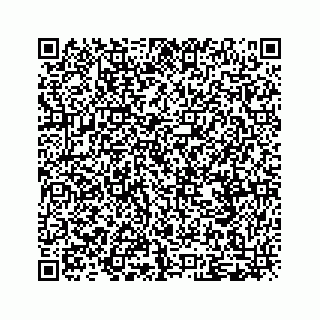 vCard 79505200801