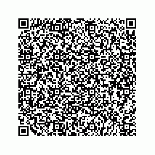 vCard 79505200839