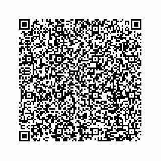 vCard 79505201384