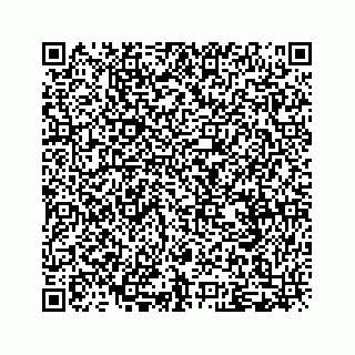 vCard 79505201809