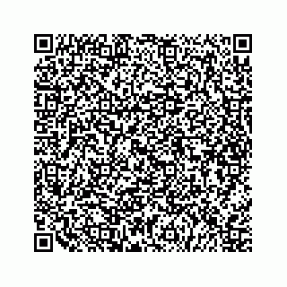 vCard 79505208529