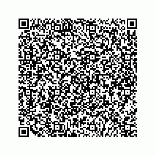 vCard 79505208530