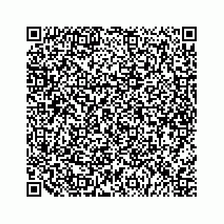 vCard 79505208533
