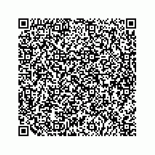 vCard 79505208540