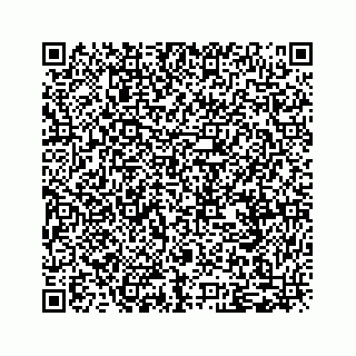 vCard 79505208541