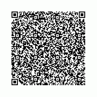 vCard 79505208635
