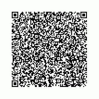 vCard 79505208699