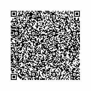 vCard 79505208701