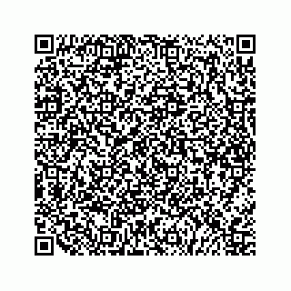 vCard 79505208705