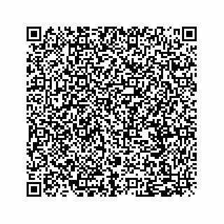 vCard 79505208733
