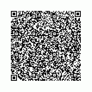 vCard 79505208735