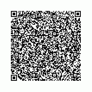 vCard 79505208740
