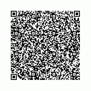 vCard 79505208749