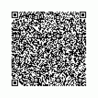vCard 79505208769
