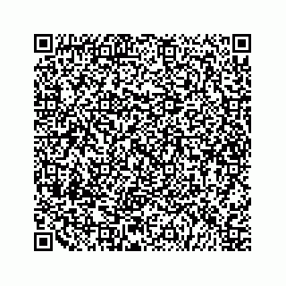 vCard 79505210013