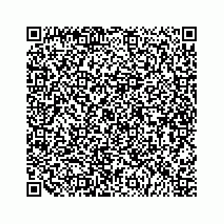vCard 79505210039