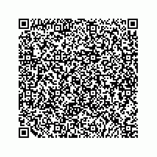 vCard 79505212739