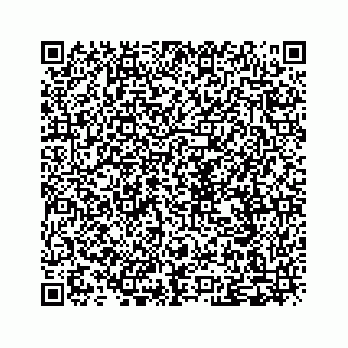 vCard 79505258293