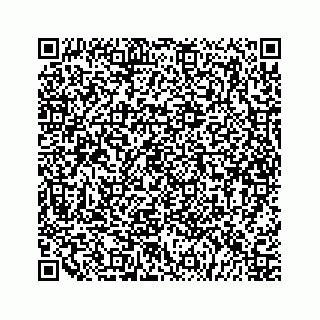 vCard 79505259413