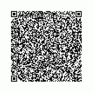 vCard 79505260939