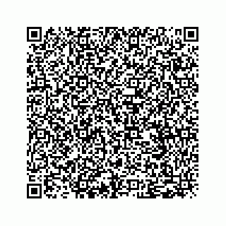 vCard 79505261339