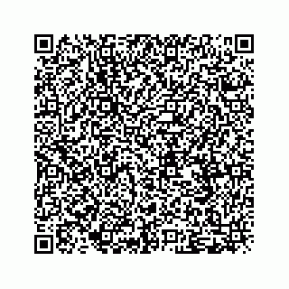 vCard 79505261873