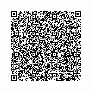 vCard 79505263939