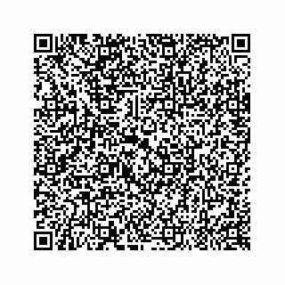 vCard 79505292908