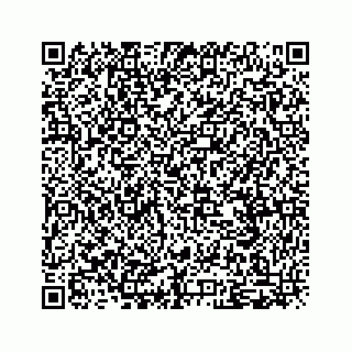 vCard 79505293003