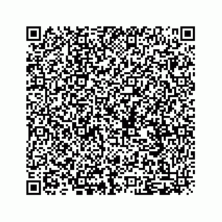 vCard 79505293005